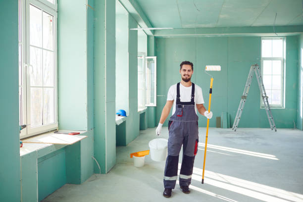 Best Basement Mold Removal  in , DC