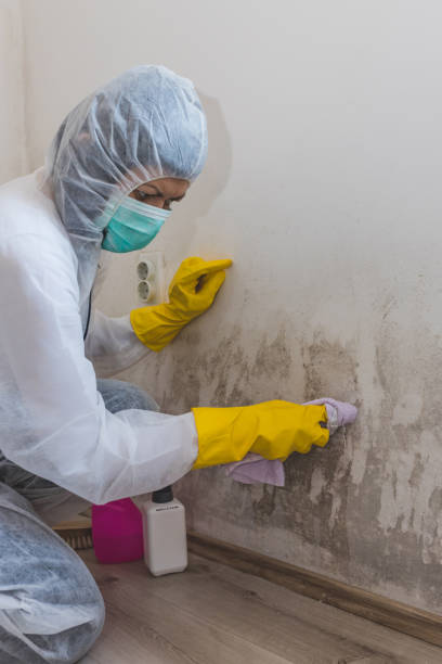 Best Air Quality Testing for Mold Spores  in , DC