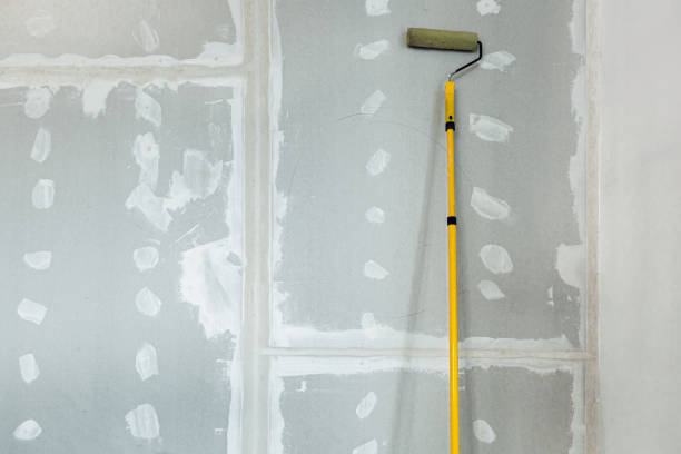  , DC Mold Removal Pros