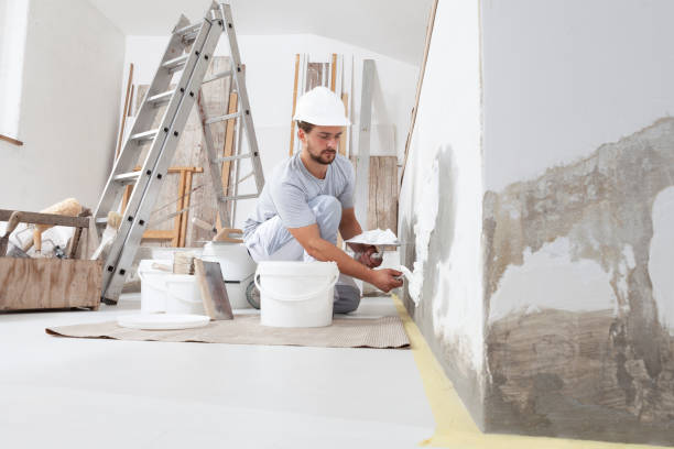 Best Mold Damage Restoration  in , DC