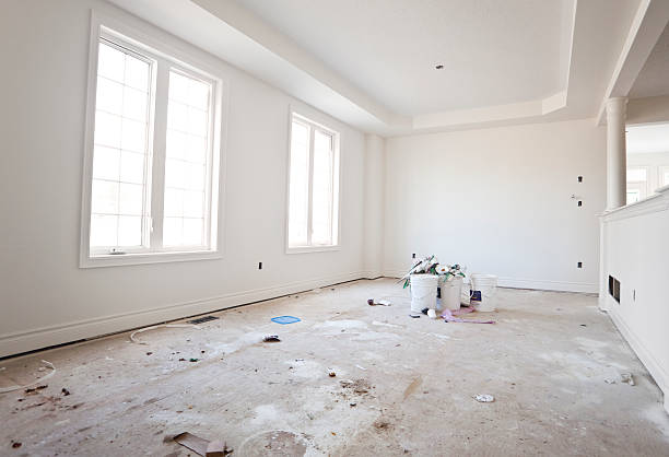 Best Mold Odor Removal Services  in , DC